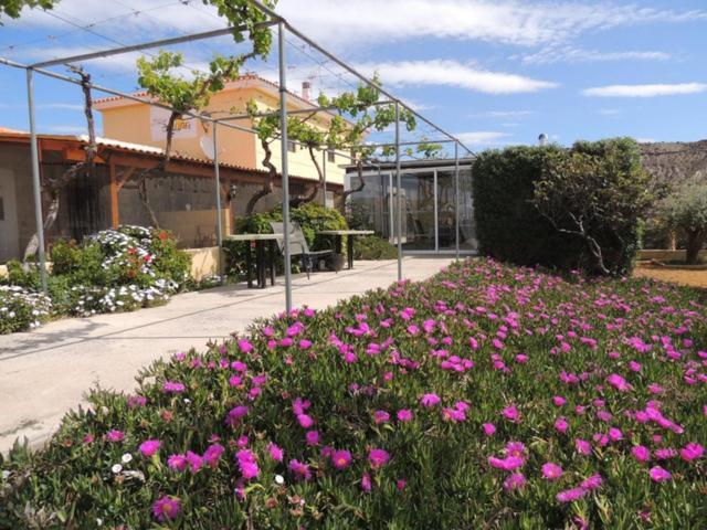 Casa Rural Mas Solana Huércal-Overa Buitenkant foto
